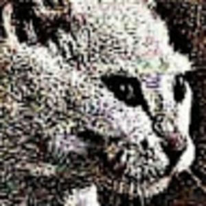 Meet your Posher, Keegan